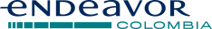 endeavor logo blue