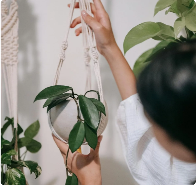 Jardineria