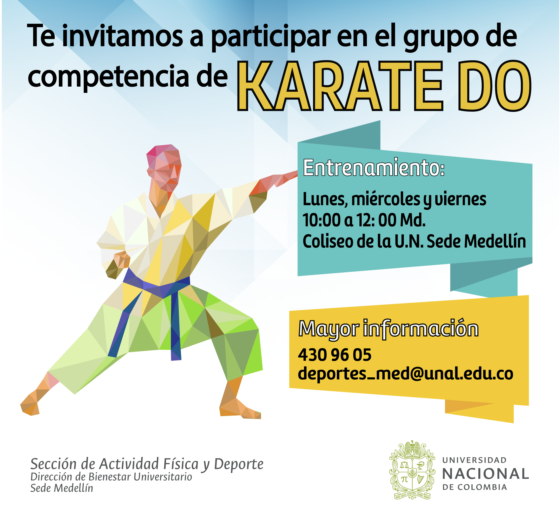 invitación Karate