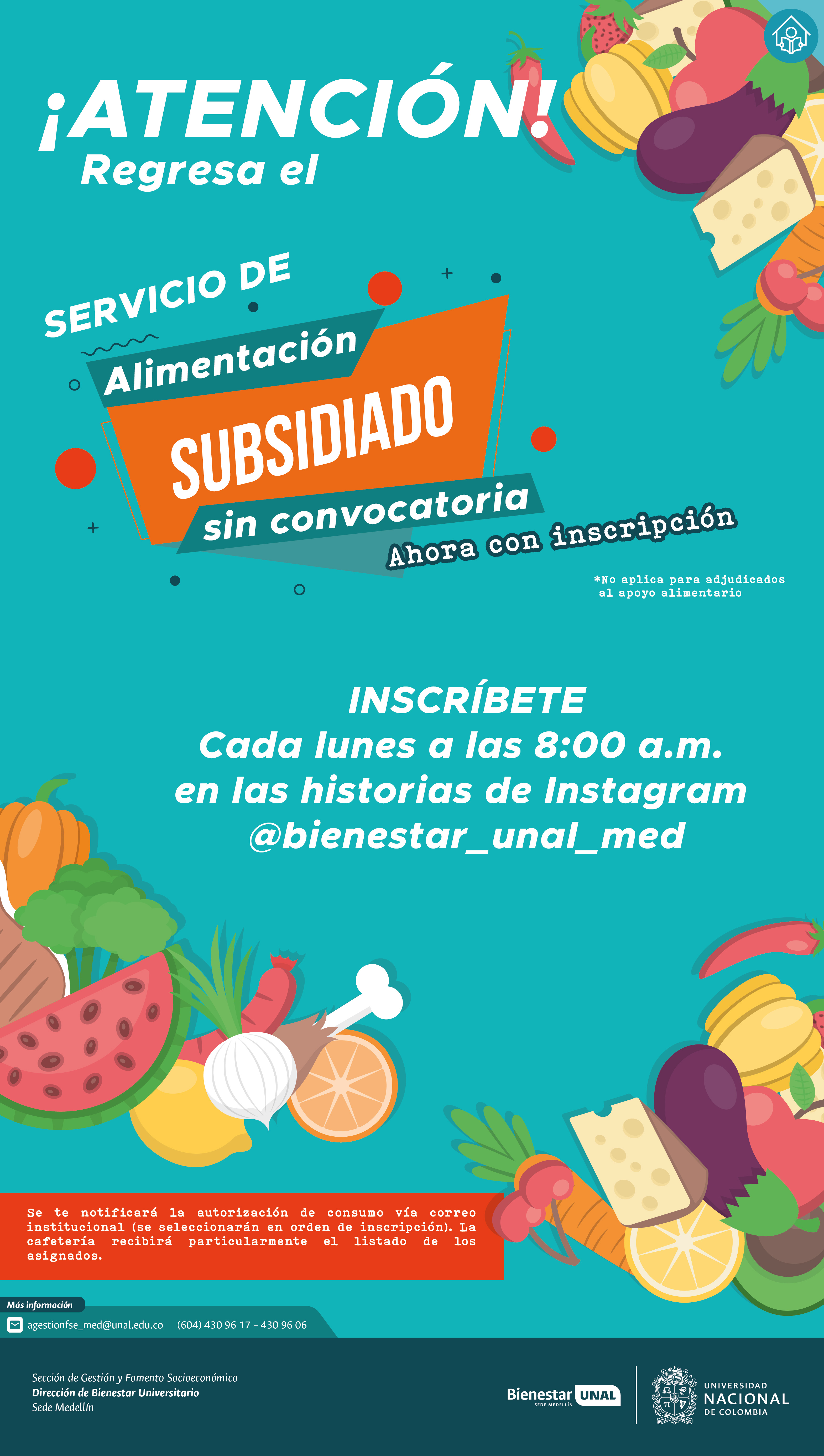 PIEZA APOYO ALIMENTAIRO PARCIAL