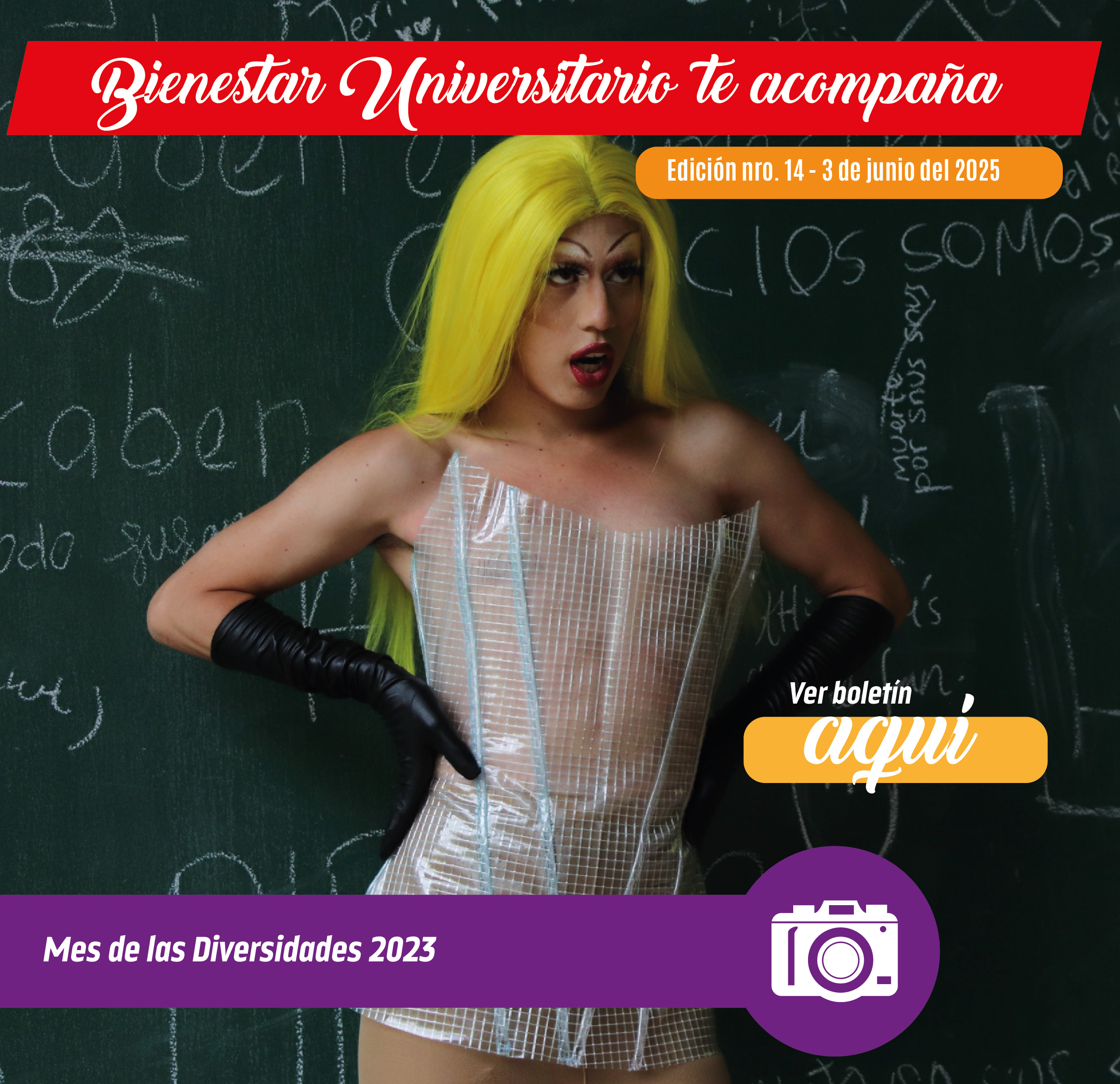 IMGENES BOLETN 03