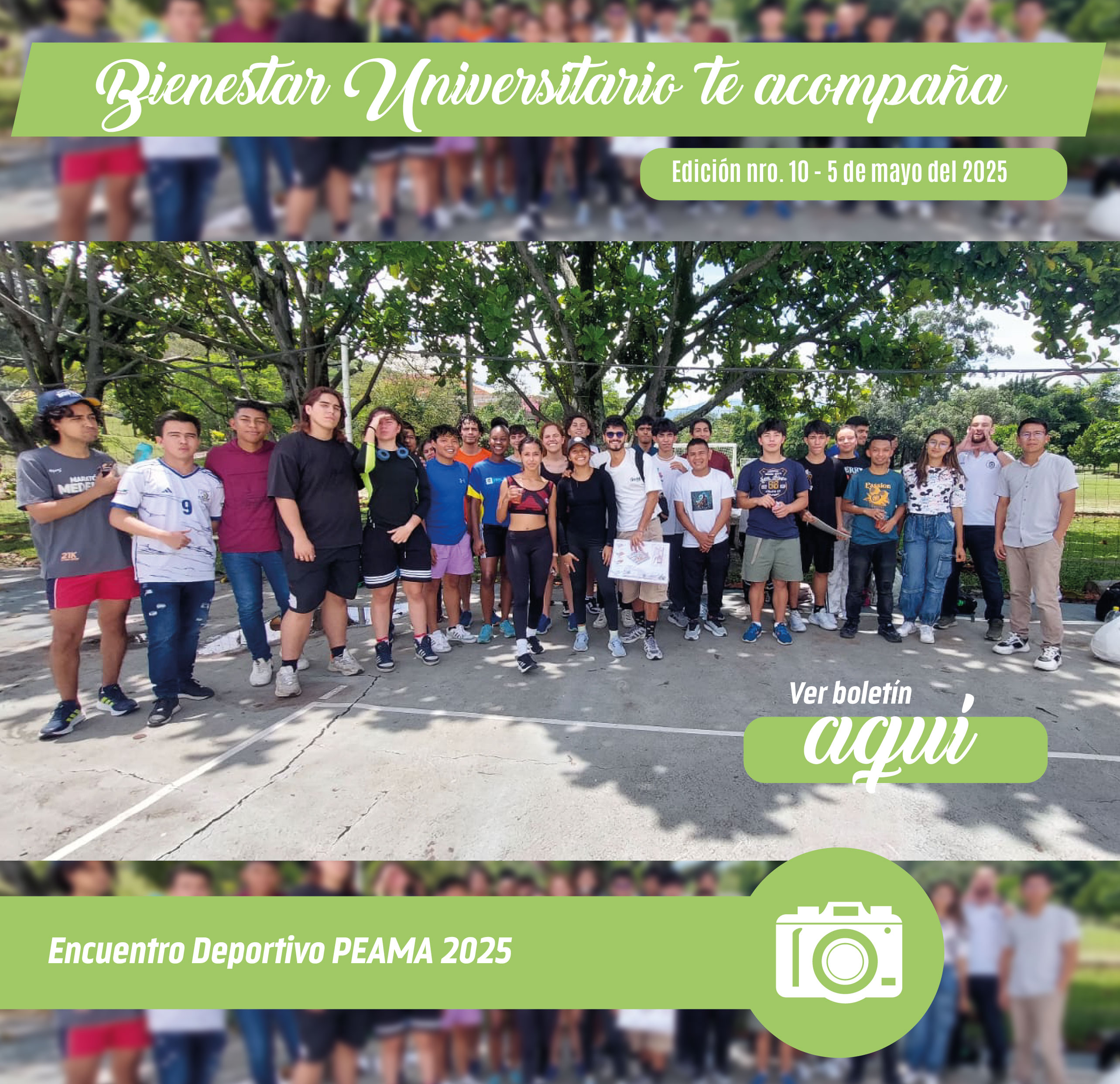 IMGENES BOLETN 03