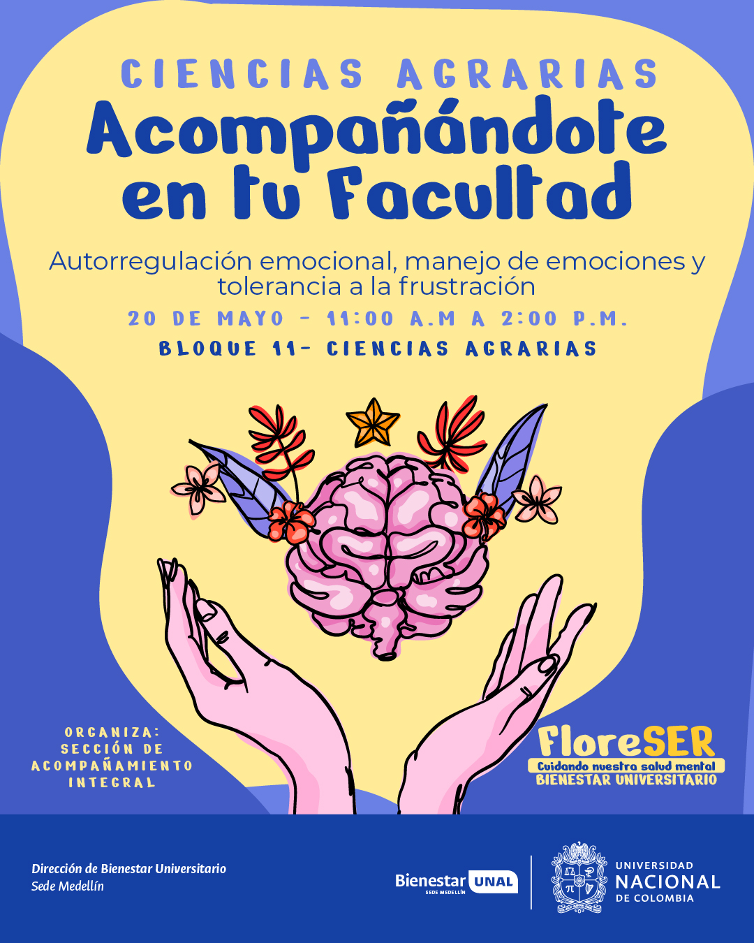Individuales MAYO 19
